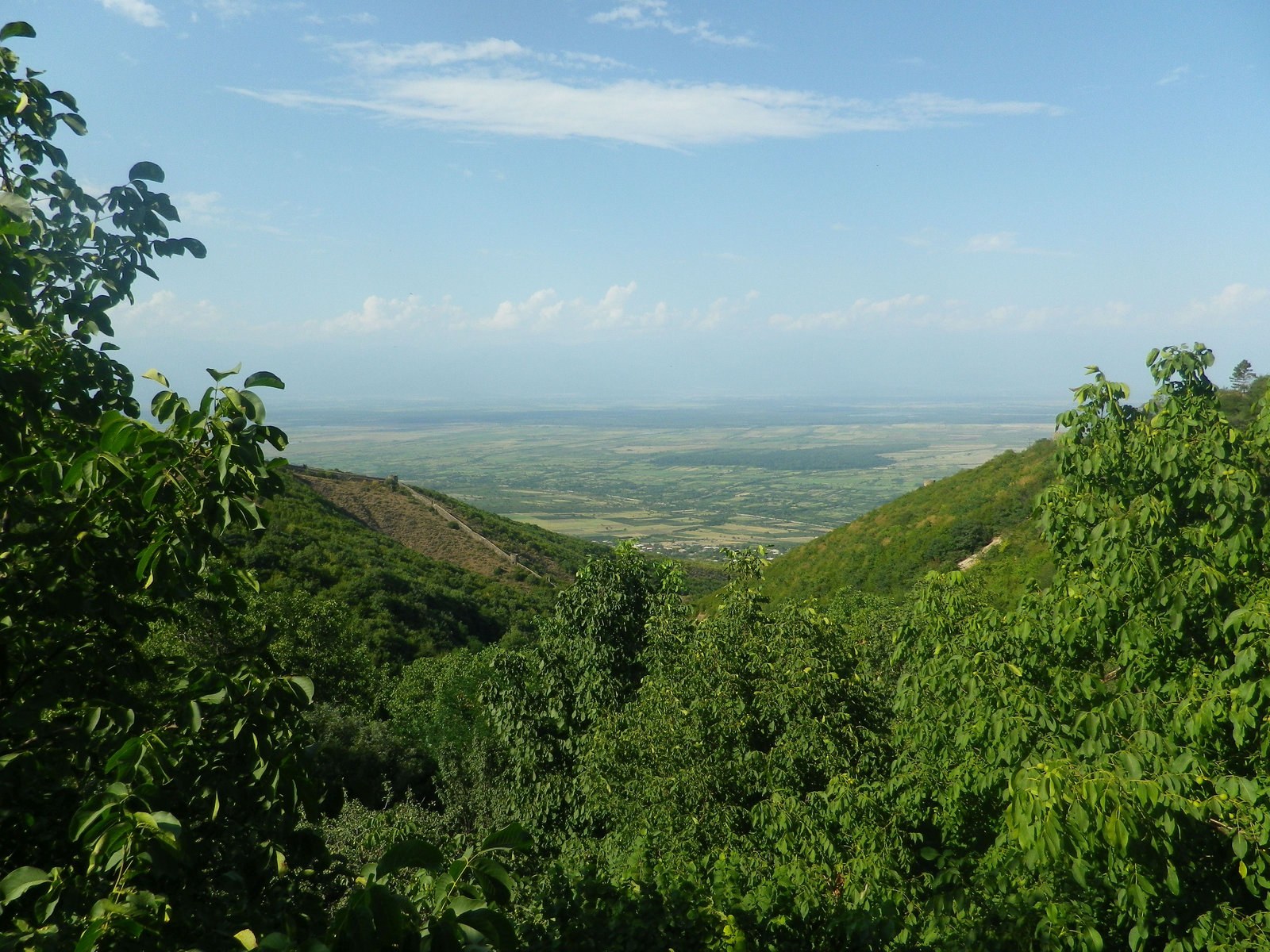 IMGP3253.jpg